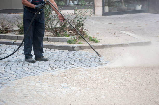 Best Sidewalk and Walkway Cleaning  in Ellsworth, WI